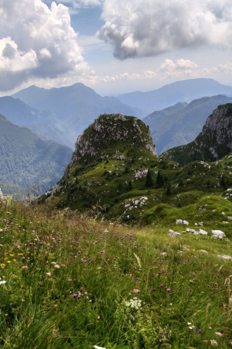 Monte Verzegnis da Sella Chianzutan